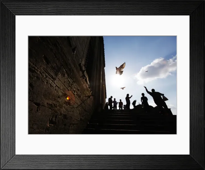Framed Print : GM1E69E1DI201 Framed Print : GM1E69E1DI201