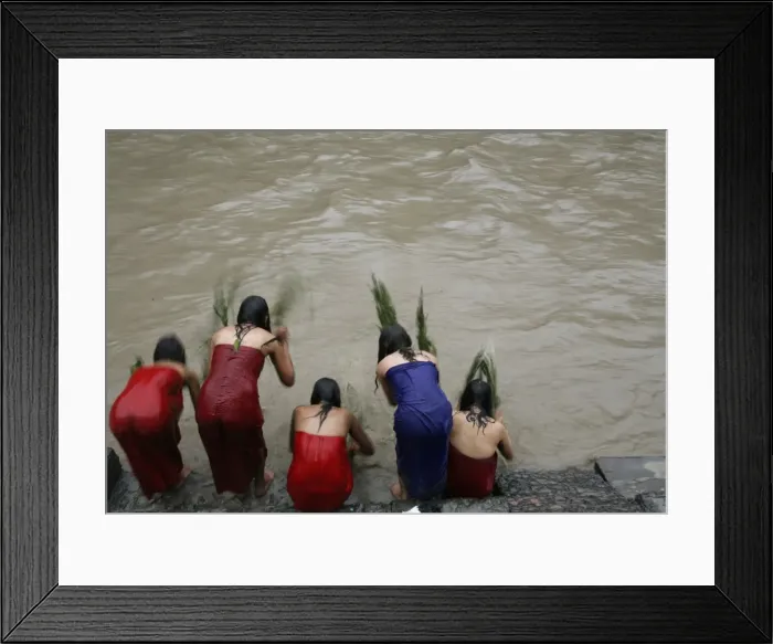 Framed Print : GM1E69C12UC01 Framed Print : GM1E69C12UC01