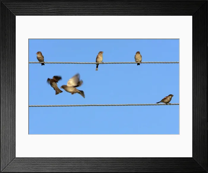 Framed Print : GM1E61200ZR01 Framed Print : GM1E61200ZR01