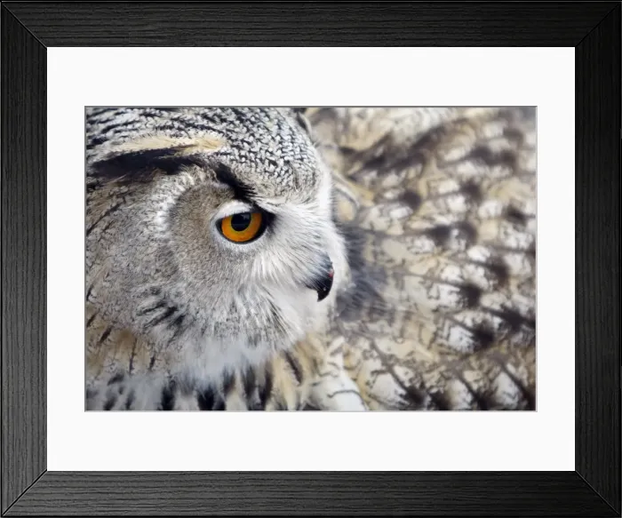 Framed Print : GM1E5BJ07JA01