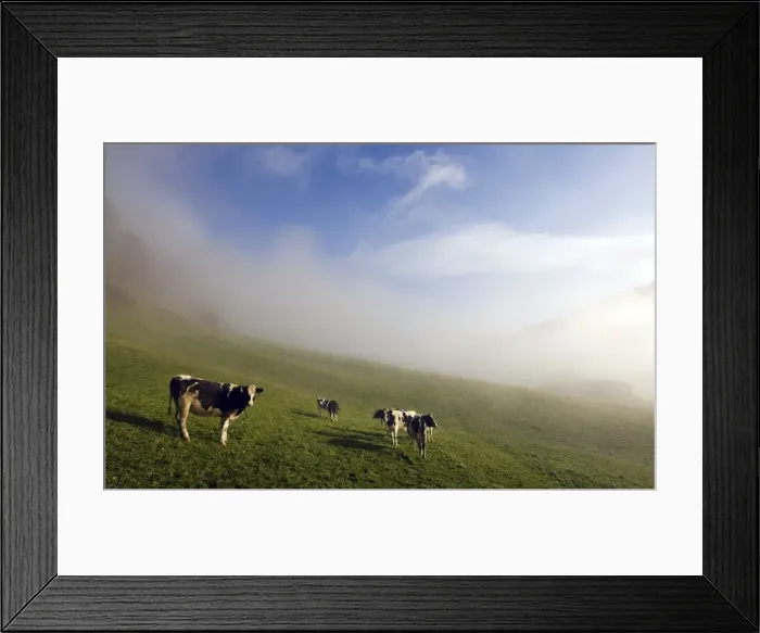 Framed Print : GM1E5B51QEA01 Framed Print : GM1E5B51QEA01