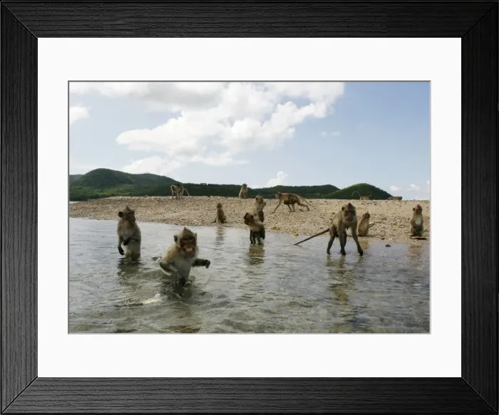 Framed Print : GM1E5AL1FG101 Framed Print : GM1E5AL1FG101