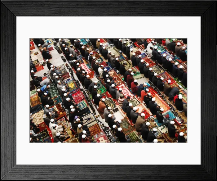 Framed Print : Gm1Dttxporaa Framed Print : Gm1Dttxporaa