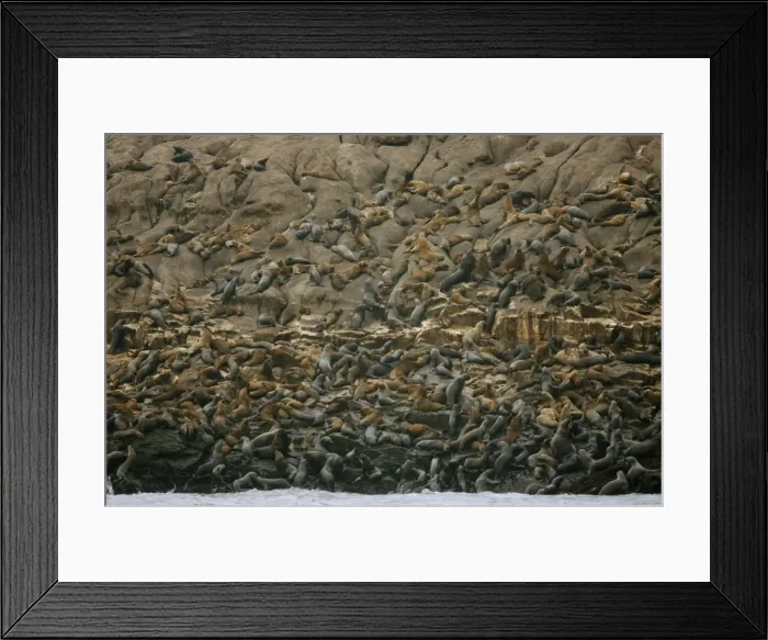 Framed Print : GM1E53T0WEP01 Framed Print : GM1E53T0WEP01