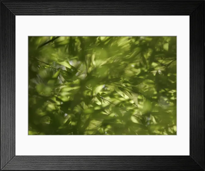 Framed Print : Gm1Dxghkdqaa