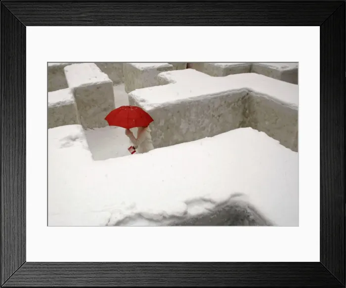 Framed Print : GM1E52517VL01 Framed Print : GM1E52517VL01