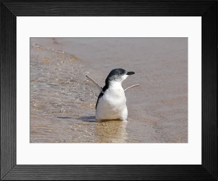Framed Print : GM1E53K0VJJ01