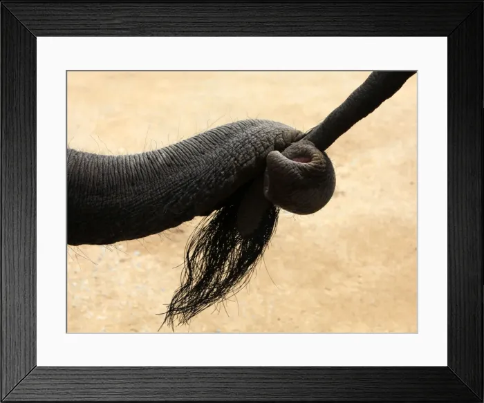 Framed Print : GM1E53D197C01
