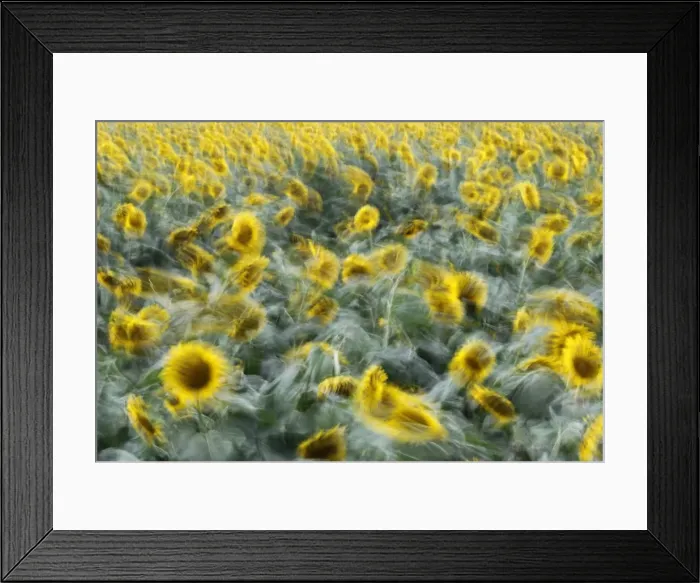 Framed Print : GM1E67Q1HXJ01 Framed Print : GM1E67Q1HXJ01