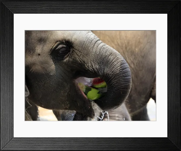 Framed Print : GM1E53D19IO01