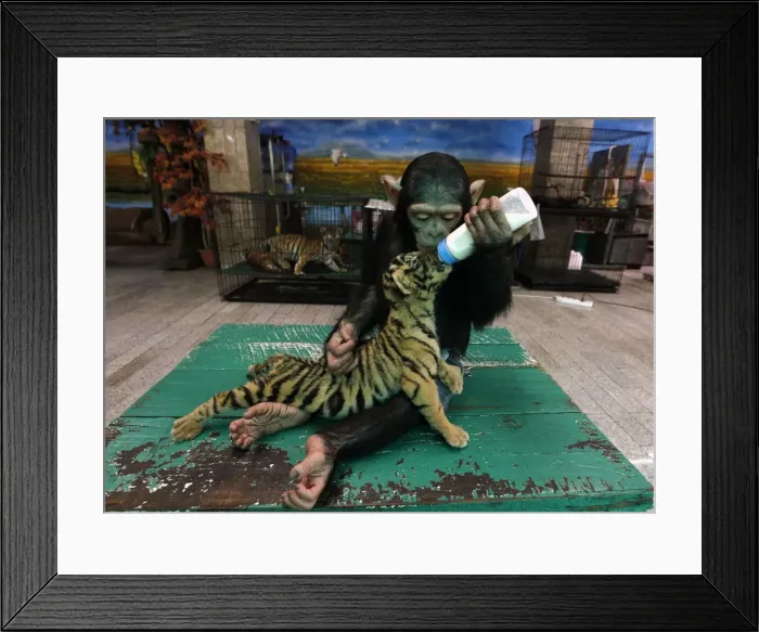 Framed Print : GM1E77U19K101 Framed Print : GM1E77U19K101