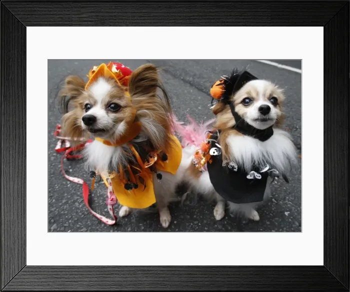 Framed Print : GM1E5AP1ECX01 Framed Print : GM1E5AP1ECX01