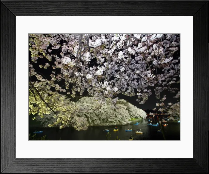 Framed Print : Rp6Drmrikwac Framed Print : Rp6Drmrikwac