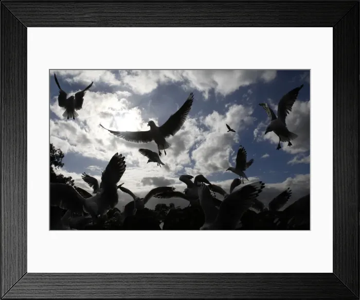 Framed Print : GM1E65V125A01