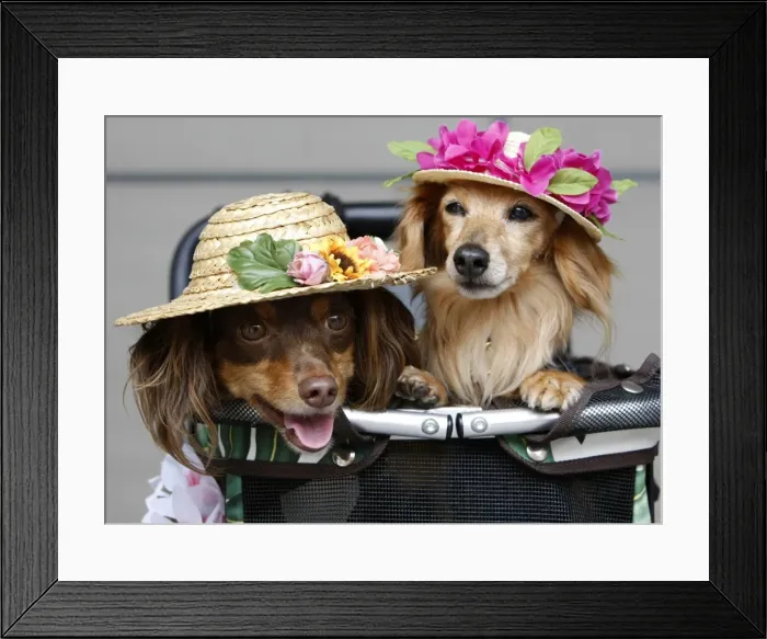 Framed Print : GM1E56D17N801