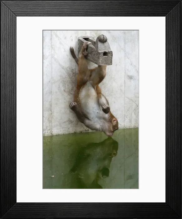 Framed Print : GM1E64H1F7L01