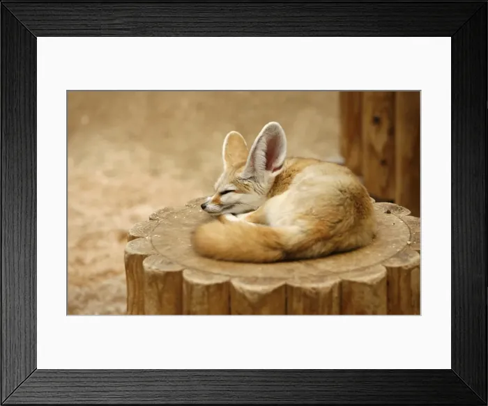 Framed Print : GM1E45I14VH01