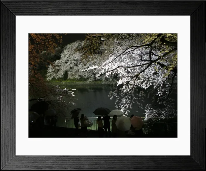 Framed Print : GM1E43U1PB901 Framed Print : GM1E43U1PB901