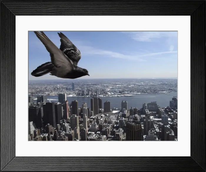 Framed Print : GM1E5350L0901 Framed Print : GM1E5350L0901