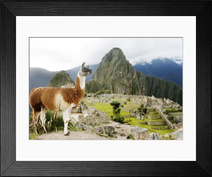 Framed Print : GM1E5610V2201 Framed Print : GM1E5610V2201