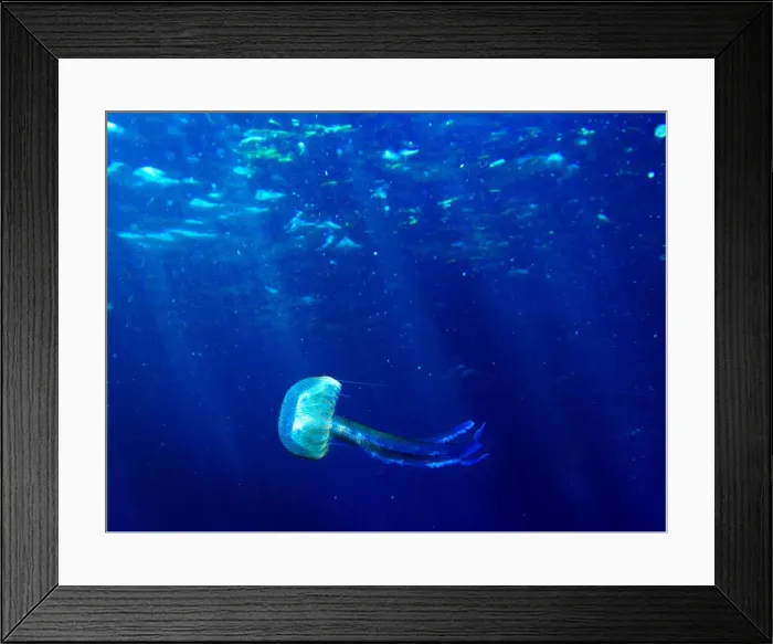 Framed Print : Gm1Dtfkzvjaa