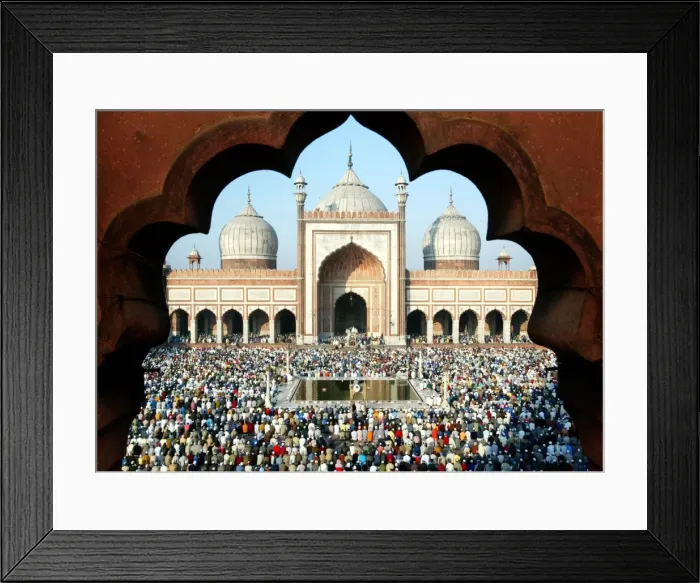 Framed Print : Rp4Driharfab Framed Print : Rp4Driharfab