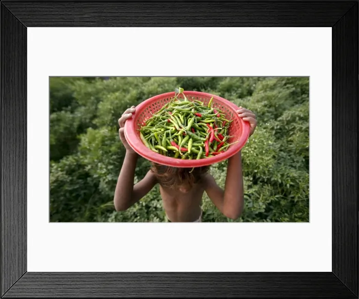 Framed Print : GM1E76M1BVT01 Framed Print : GM1E76M1BVT01