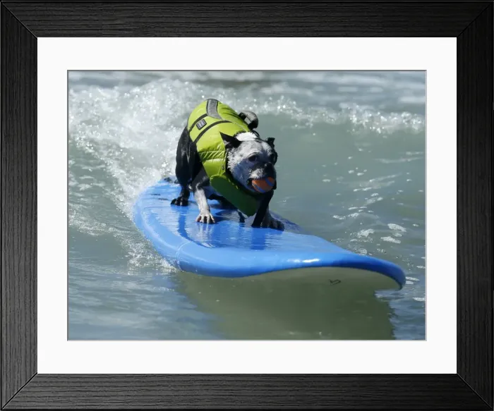 Framed Print : GM1E8A10SL401