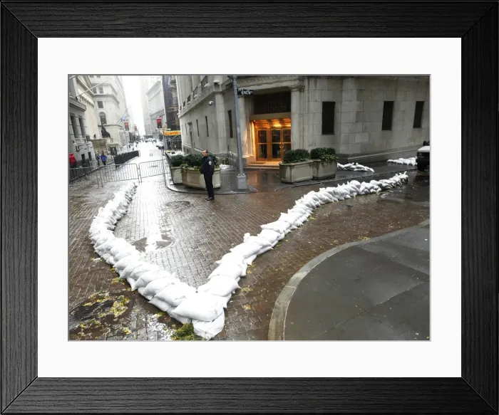 Framed Print : GM1E8AV00ZU01