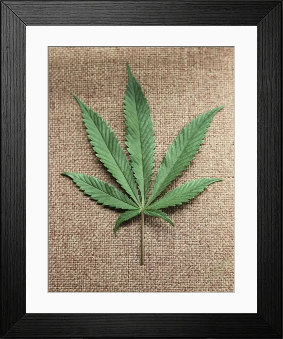 Framed Print : TM3E8C4181M01 Framed Print : TM3E8C4181M01