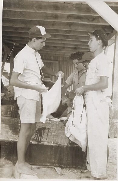 Boy scouts washing clothes at camp, British Honduras