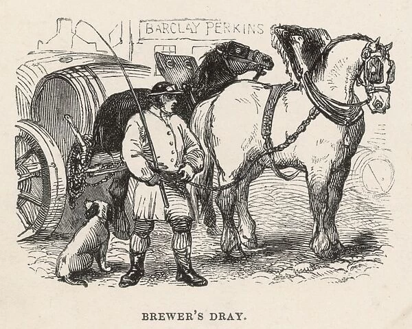 A Brewers Dray