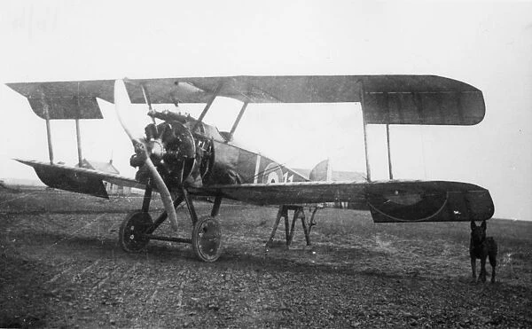 Captured Sopwith Camel biplane on an airfield, WW1