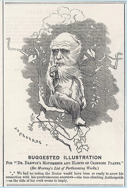 Charles Darwin as a tree-climbing anthropoid