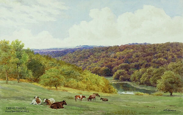 Epping Forest, Essex, viewed from Baldwin's Hill
