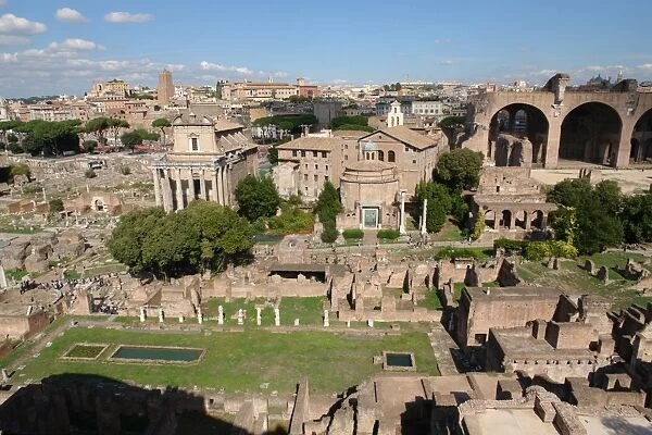 The Forum, Rome, Italy