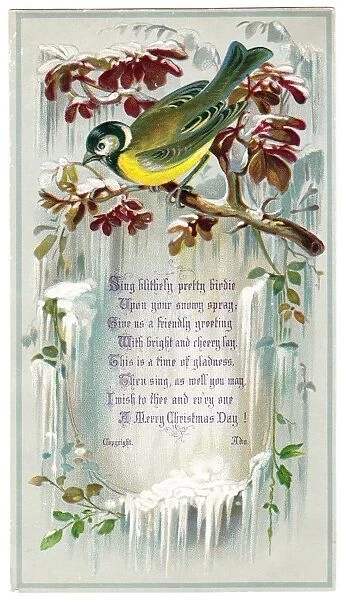 Goldfinch on a Christmas card