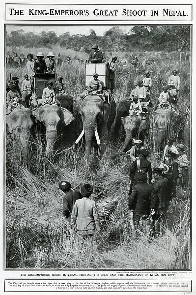 King Emperors great shoot in Nepal 1911