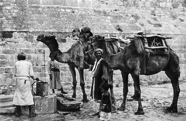 Men with camels at a cistern, Bethlehem