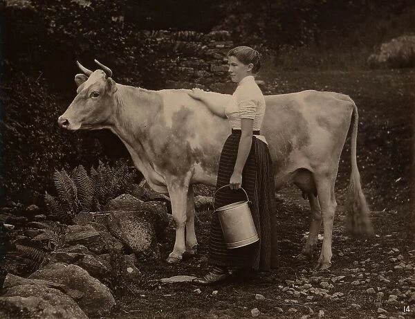 Milk maid with a cow