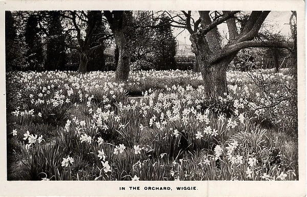 The Orchard, Wiggie, Surrey
