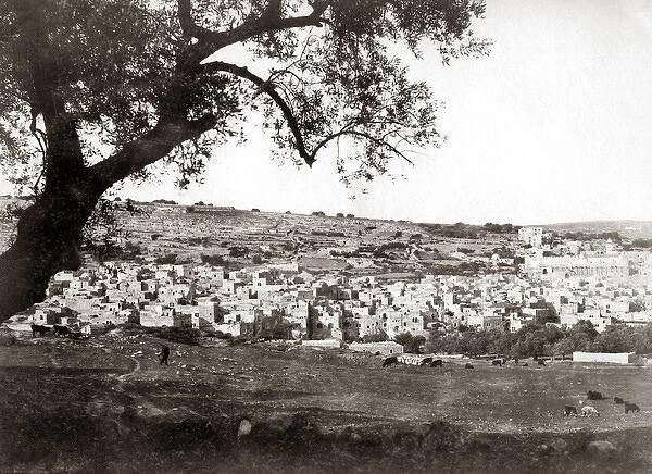 Overlooking Palestine (Israel) circa 1890