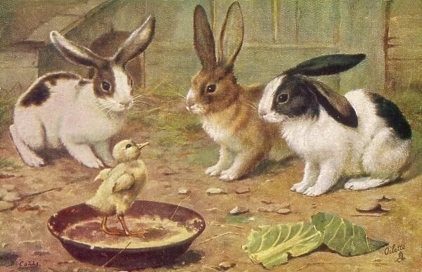 Rabbits & Chick 1920S