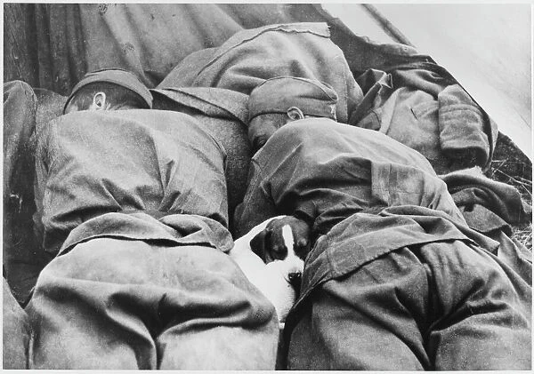 Russian Soldier and Dog