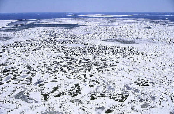 Semi-tundra aerial, North Siberia