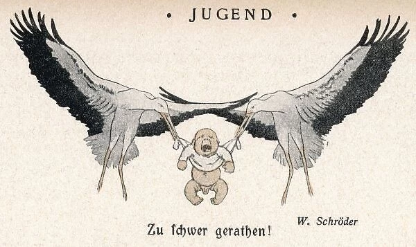 Stork  /  Baby  /  Jugend 1902