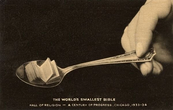 The Worlds Smallest Bible