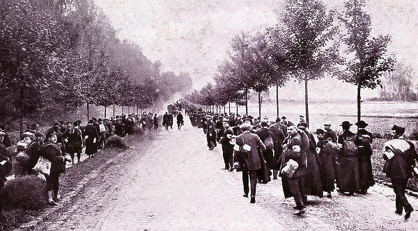 WW1 - Belgian Refugees on road to Brussels from Tirlemont