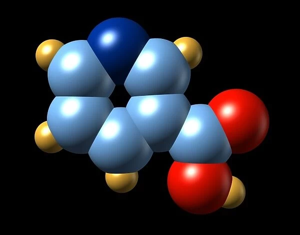 Vitamin B3, molecular model