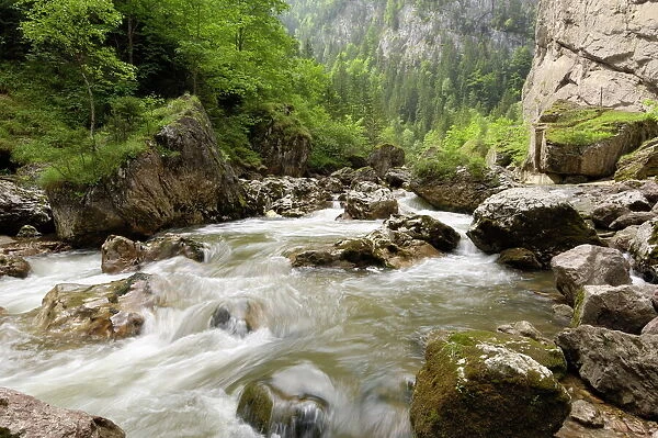 Bicaz River, Moldavia, Romania, Europe
